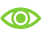 vision